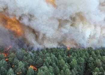 Bedwingen natuurbrand nabij Parijs kan nog dagen tot weken duren