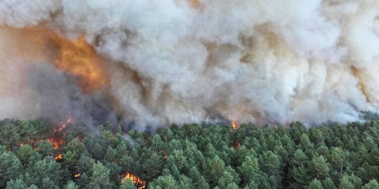 Bedwingen natuurbrand nabij Parijs kan nog dagen tot weken duren