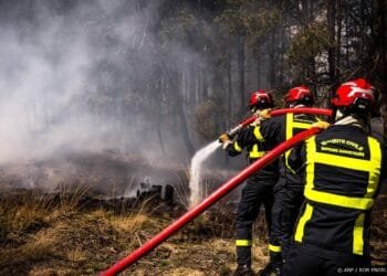 Bosbranden op je vakantiebestemming? Dit is wanneer je verzekering wél en niet uitkeert