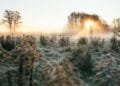 Unieke zomerse grondvorst gemeten: temperatuur daalt onder nul in Twente