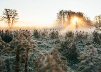 Unieke zomerse grondvorst gemeten: temperatuur daalt onder nul in Twente