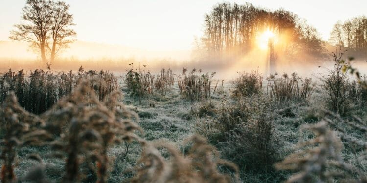 Unieke zomerse grondvorst gemeten: temperatuur daalt onder nul in Twente