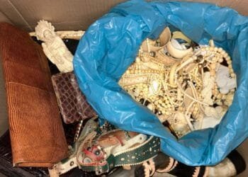 Ivory and a rhino skull among 5,800 items handed to RVO