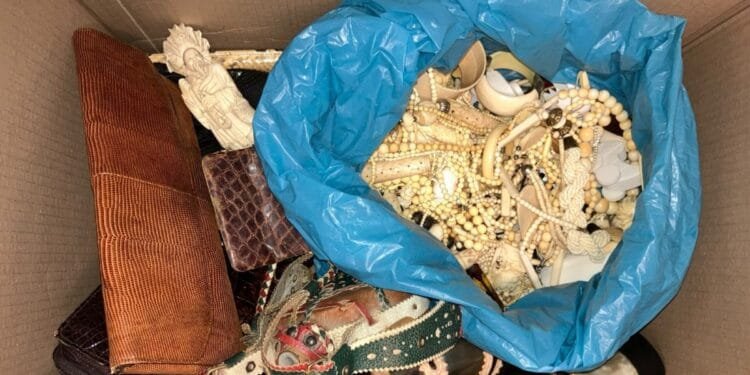 Ivory and a rhino skull among 5,800 items handed to RVO