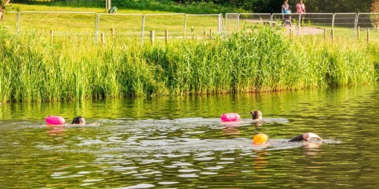 Drowning risk far higher for children born outside Europe: CBS