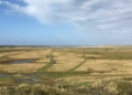 Body parts found on Texel identified as Afghan refugees