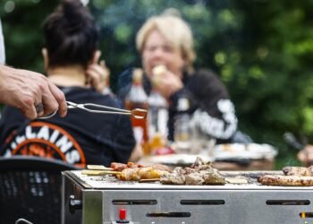 Regels op camping Veluwe bij bosbrandgevaar: ‘De barbecue op houtskool moet gewoon uit’