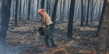 Zo ziet de regio Bordeaux er door de bosbranden uit: ‘Snelweg is nu de Highway to Hell’