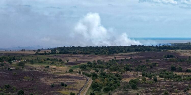 Toeristen in Engeland geëvacueerd om grote natuurbrand