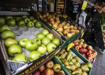 Voorzitter fruittelers legt uit waarom fruit straks zo duur wordt: ‘De droogte is lang en extreem’