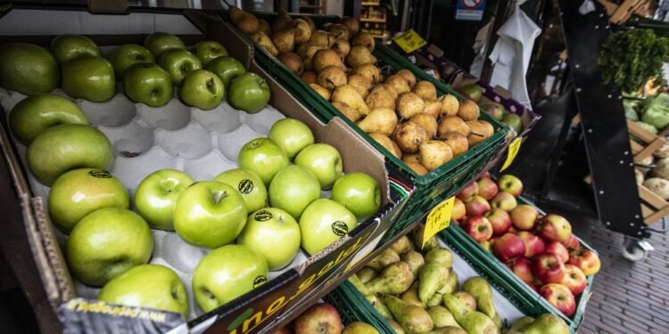 Voorzitter fruittelers legt uit waarom fruit straks zo duur wordt: ‘De droogte is lang en extreem’