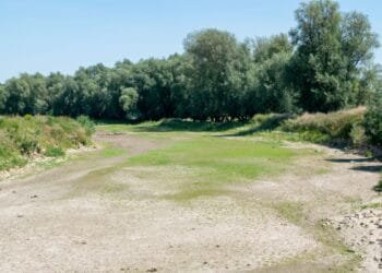 Risk of serious water shortages as river levels fall