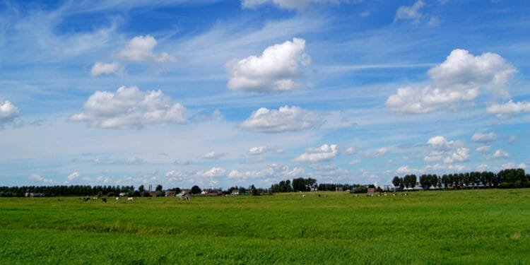 Plan to build 8,000 houses 7m below sea level set to go ahead