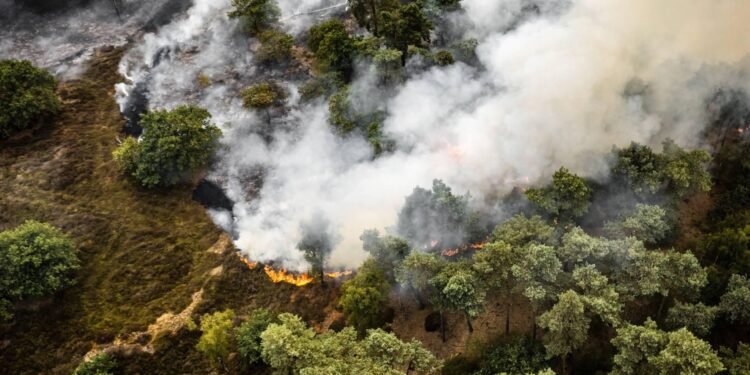 Grote natuurbrand ten oosten van Rosmalen