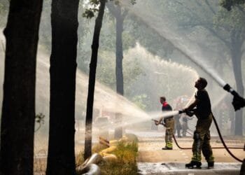 Limburg wildfire spreads across 100 hectares overnight