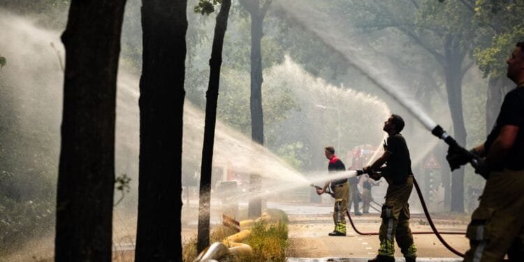 Limburg wildfire spreads across 100 hectares overnight