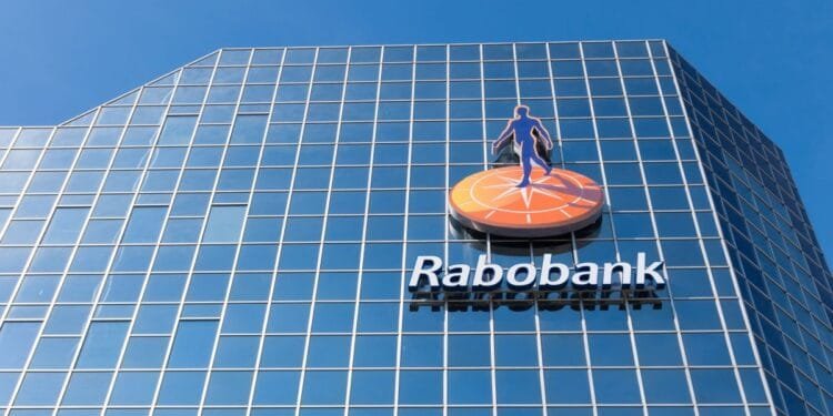 Rabobank profit flat as it braces for loan losses