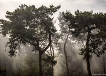 Veiligheidsregio: hoe lang brand Venray nog duurt, blijft onzeker
