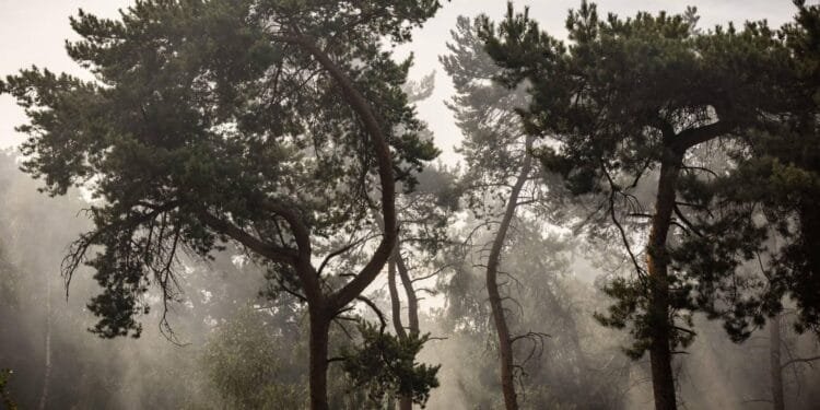 Veiligheidsregio: hoe lang brand Venray nog duurt, blijft onzeker