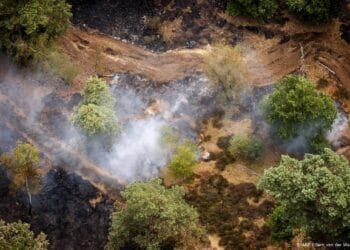 Natuurbrand in Limburgse Boschhuizenbergen onder controle