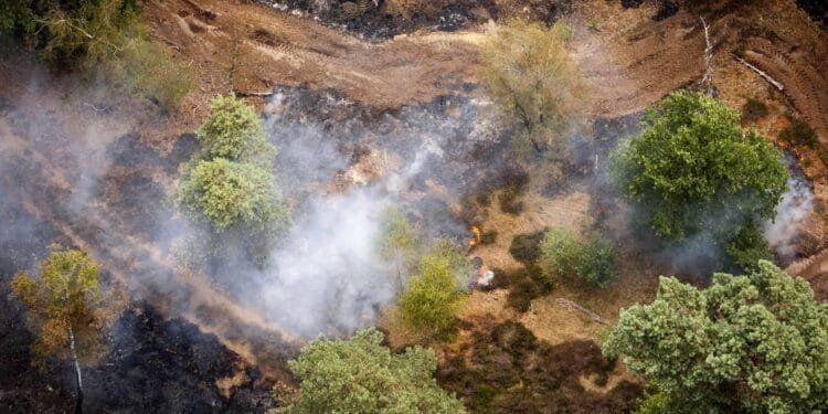 Natuurbrand in Limburgse Boschhuizenbergen onder controle