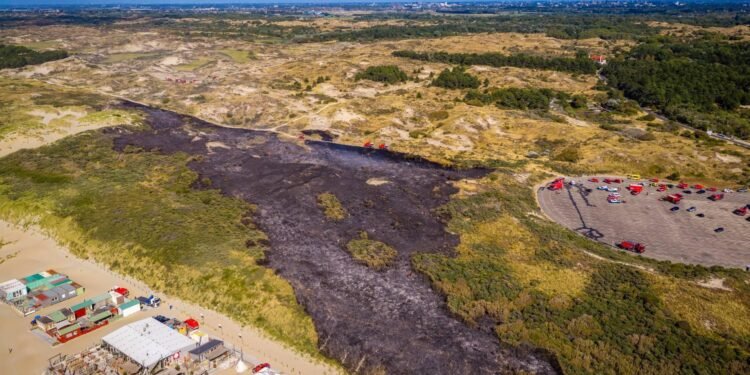 Brandweer: brand in duinen Wassenaar onder controle
