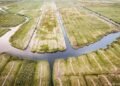 Door extreme droogte blijven sluizen dag en nacht gesloten: dit staat er voor Nederland op het spel