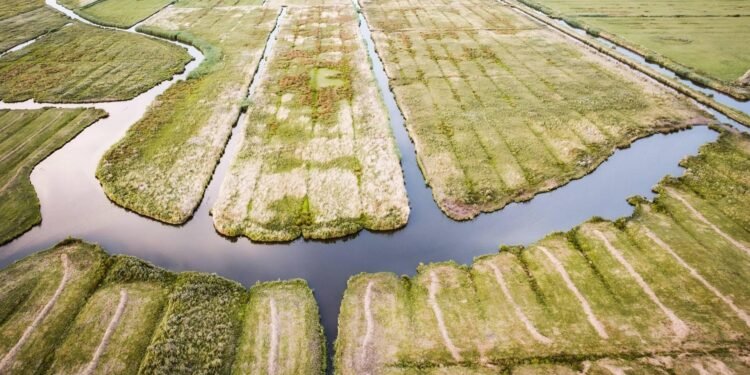 Door extreme droogte blijven sluizen dag en nacht gesloten: dit staat er voor Nederland op het spel