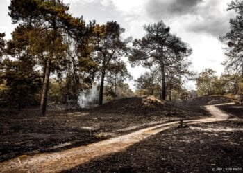 Noodverordening om natuurbrand Boschhuizerbergen nog actief