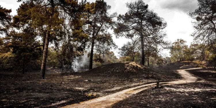 Noodverordening om natuurbrand Boschhuizerbergen nog actief