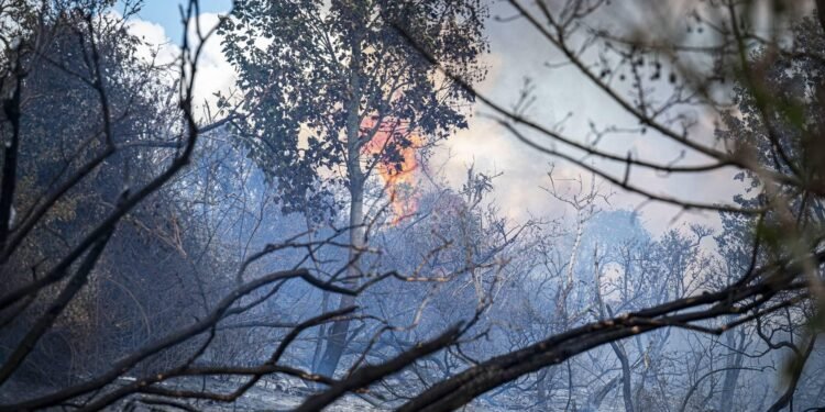 Natuurbrand bij Ouddorp breidt zich niet meer uit door stoplijnen