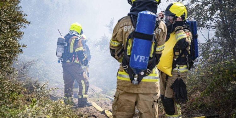 Brand in duinen bij Ouddorp onder controle