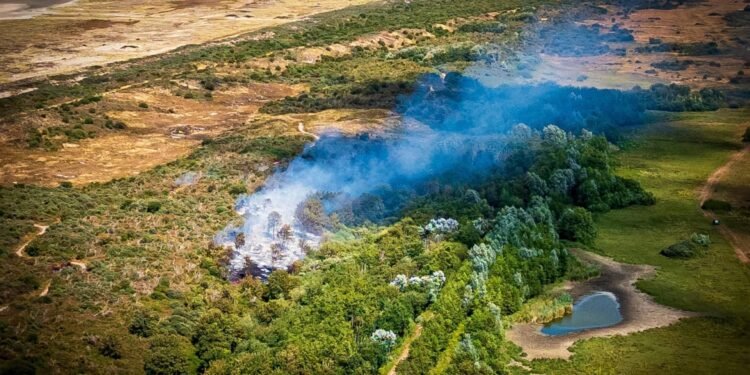 Tweeduizend vierkante meter natuur verwoest bij duinbrand Ouddorp