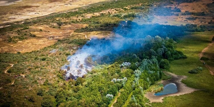 Natuurbrand in duinen bij Ouddorp laait verder op