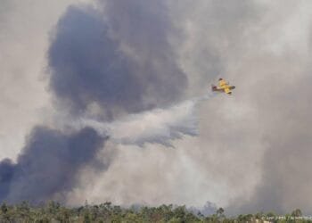 Grote natuurbrand in Spaanse Niebla rukt op richting Sevilla