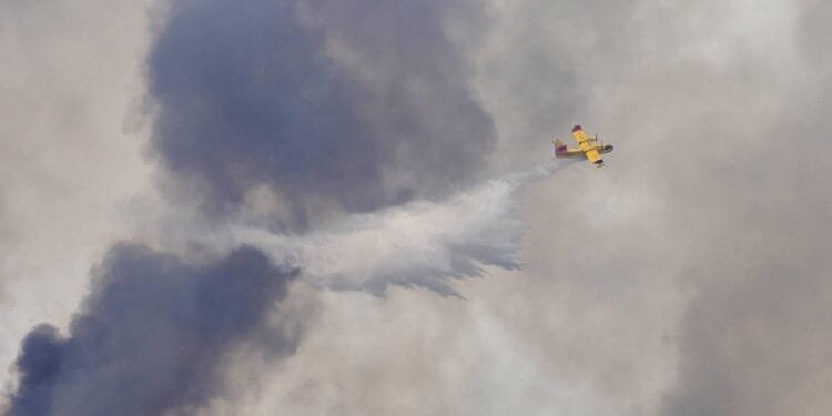 Grote natuurbrand in Spaanse Niebla rukt op richting Sevilla