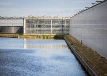 Glastuinbouw Delfland moet nog zeker dagen wachten op extra water