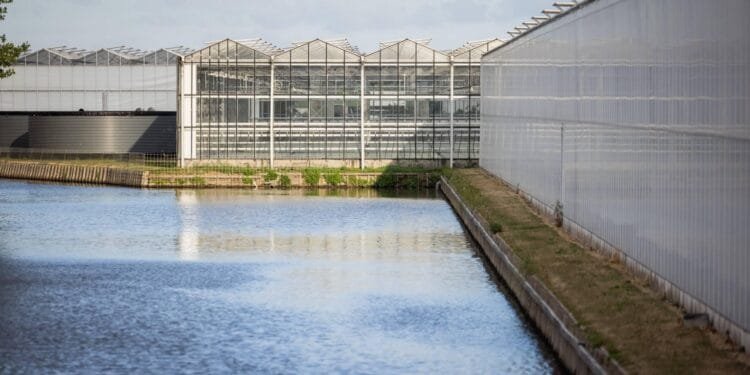 Glastuinbouw Delfland moet nog zeker dagen wachten op extra water