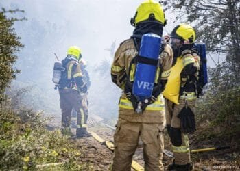 Grote inzet brandweer om natuurbrand Rheezerveen