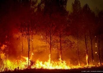 Franse tiener vast om fatale bosbrand bij Bordeaux