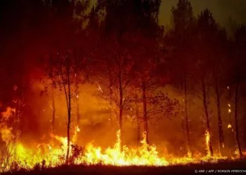 Franse tiener vast om fatale bosbrand bij Bordeaux
