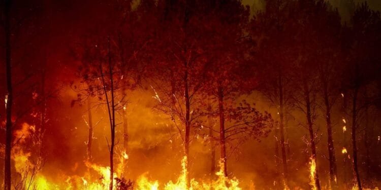 Franse tiener vast om fatale bosbrand bij Bordeaux