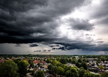 Na veel droogte regent het weer: tot in hoeverre is de natuur daarbij gebaat?