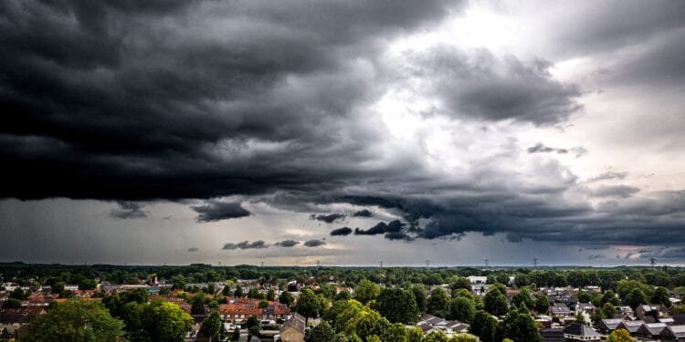 Na veel droogte regent het weer: tot in hoeverre is de natuur daarbij gebaat?