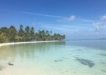 Dit zijn de 10 beste landen voor expats in 2026: Europese favoriet haalt slechts plek zes