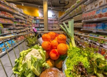 Dutch shops to stock more GM food after EU relaxes rules in 2028