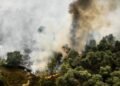 Wildfire breaks out in Limburg, train services halted
