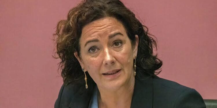 Big cities buckling under homelessness and drugs, says Halsema
