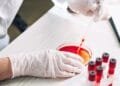 Utrecht death shows West Nile virus is circulating in NL
