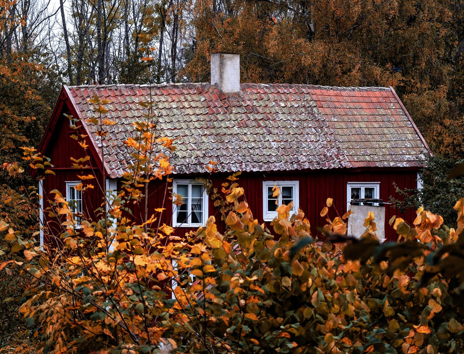 vakantiehuisje